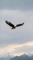 A regal bald eagle flying across a blurred sky with soft clouds, perfect for overlaying Presidents Day text. photo
