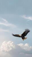 A graceful bald eagle soaring through a soft-focus sky with gentle clouds, providing space for Presidents Day messaging. photo