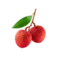 Ripe Lychee fruit branch with leaf on transparent background png