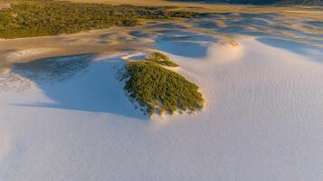 Aerial view of lush vegetation among expansive desert dunes under sunlight photo