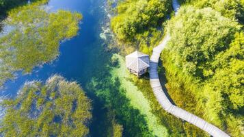 Aerial view of serene lake with wooden pathway and gazebo among lush greenery photo