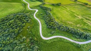 Winding path through lush green landscape amidst vibrant countryside fields photo