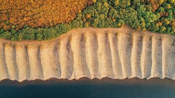 Aerial view of autumn forest meeting sandy shoreline by water's edge photo