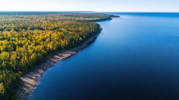 Aerial view of vast forest meeting calm blue sea in nature landscape photo