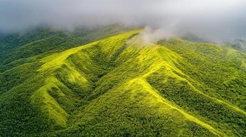 Aerial view of lush green mountain range with cloud cover and dense forest photo