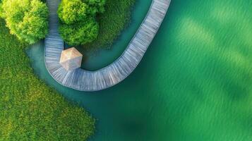 Wooden pathway overlooking tranquil green lake amidst lush vegetation and natural scenery photo