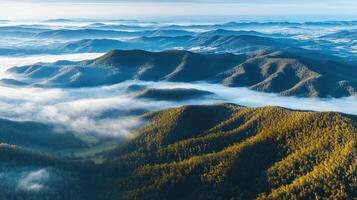 Aerial view of foggy mountain range with sunlit peaks and dense green forests photo
