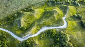 Aerial view of serpentine path on lush green hills with vegetation photo