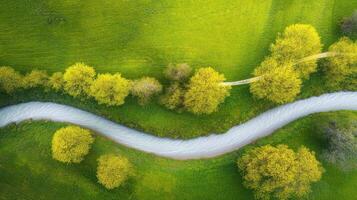 Aerial view of a serene river flowing through lush green landscape with trees photo