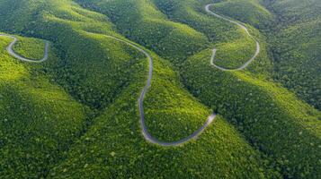 Winding mountain road through lush green forest aerial view capturing curvy landscape photo