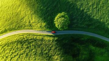 Aerial view of a red car on a winding road through verdant green fields photo