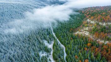 Aerial view of snow-capped forest hills with winding trail in autumn photo