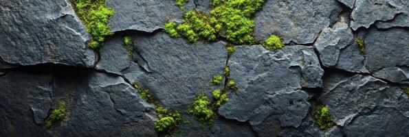 Natural stone wall with green moss for earthy textured background concept photo