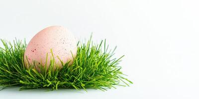 Speckled pink egg in green grass on white background capturing springtime photo