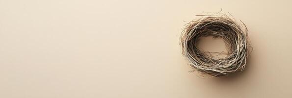 Minimalist natural bird nest on neutral background depicting simplicity and nature photo