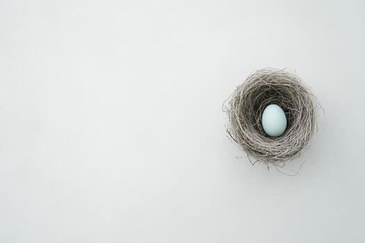Single blue egg in a bird nest on minimalist white background, symbolizing simplicity and new beginnings photo