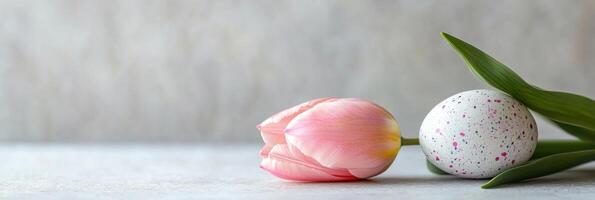 Close-up of pink tulip and speckled egg with green leaves on light background photo