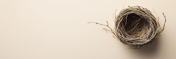 Empty bird nest on beige background representing nature and habitat concepts photo