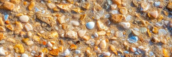 Textured beach sand with assorted seashells and pebbles on coastal shoreline photo
