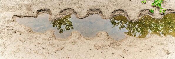 Puddle on sandy surface reflecting tree branches and leaves in natural setting photo
