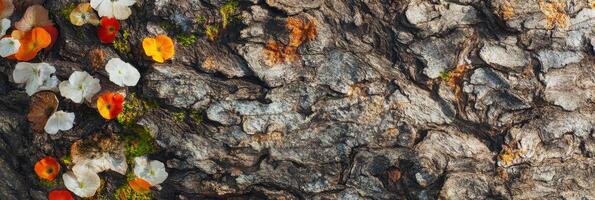 Close-up of tree bark texture with colorful flowers and moss for nature background photo