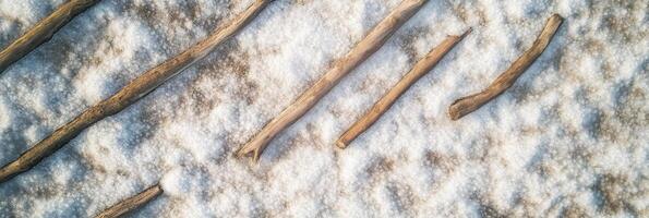 Wooden branches on snowy ground as a natural winter background texture photo
