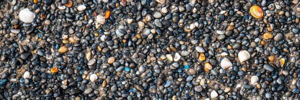 Seashells and pebbles on a sandy beach creating natural texture background photo