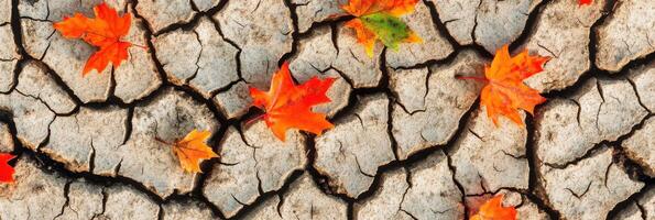 Autumn leaves on cracked dry earth representing climate change and drought photo