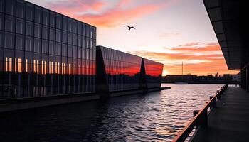 A bird flies over the water at sunset photo