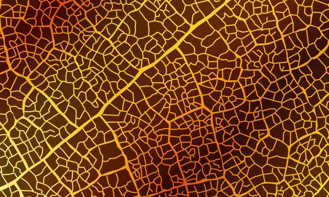 Dark brown and gold vintage of cracked concrete scribble effect, old wall background crack grunge texture.