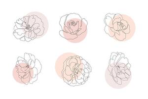 Continuous line flowers set with abstract circles. Trendy single line botanical illustration for print or web. Rose outline vector