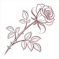Hand drawn Rose line drawing vector
