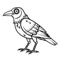 Illustration of a detailed black and white crow in profile view vector
