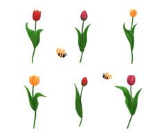 Spring tulips and bees create a vibrant garden in full bloom vector