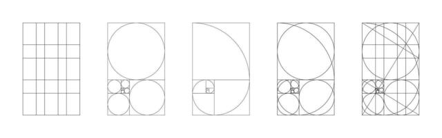 Golden ratio template. Method golden section mockup. Fibonacci array, numbers, shapes. Harmony proportions frames. Outline graphic minimalist illustration. vector