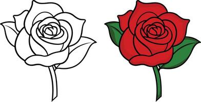 Elegant Rose Drawing with Outline and Colored Version vector
