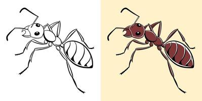 Ant Color and Line Art Illustration vector