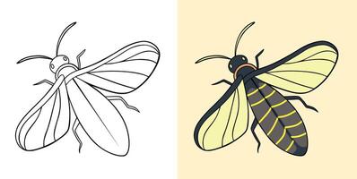 Firefly Color and Line Art Illustration vector