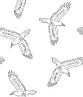 Seamless pattern of hand drawn doodle sketch flying raven isolated on white background vector