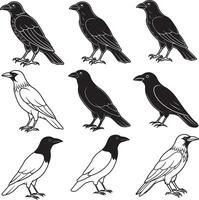crow silhouette image set design vector