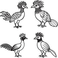 paradise line art bird silhouette image set vector