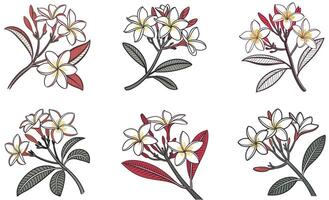 A set of four different flowers with leaves and stems vector