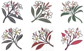 A set of four different flowers with leaves and stems vector