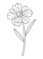 Wildflower in line art style. Detailed floral blooming wild plant coreopsis, meadow flower, black contour. Botanical element for design projects, ink outline vector