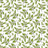 Seamless pattern with spring leaves branches. Template for textile, notebook cover, wallpaper, wrapping paper, etc. vector
