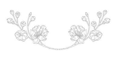 Beautiful vignette of apricot blossoms and buds in a graceful thin line. Japanese sakura flowers frame, outline. Hand drawn sketch of cherry, plum, or peach blossom branch vector