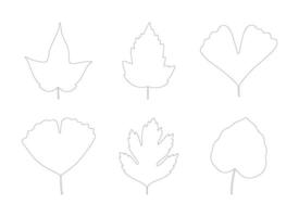 Set of autumn leaves maple, ginkgo biloba, aspen, and hawthorn. Black silhouettes in line art style on a white background. Fall, spring, or summer collection foliage vector