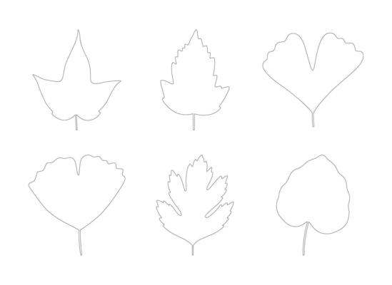 Set of autumn leaves maple, ginkgo biloba, aspen, and hawthorn. Black silhouettes in line art style on a white background. Fall, spring, or summer collection foliage