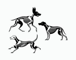 Classic Dog Skeleton Silhouettes File vector