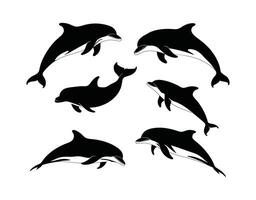 Modern Dolphin Silhouette Set Template Illustration vector